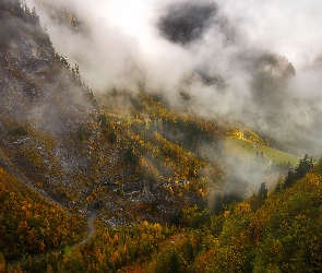 Jesień, Mgła, Droga, Lasy, Drzewa, Góry