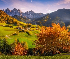 Jesień, Lasy, Włochy, Góry, Drzewa, Kościół, Dolomity, Domy, Masyw Odle, Dolina Val di Funes, Wieś Santa Maddalena