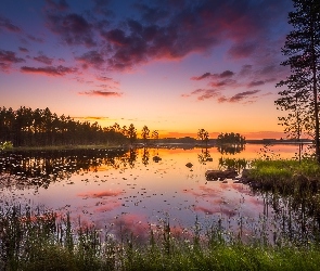 Jezioro Haukkajärvi, Gmina Ruovesi, Finlandia, Chmury, Trawy, Drzewa, Zachód słońca, Park Narodowy Helvetinjärvi