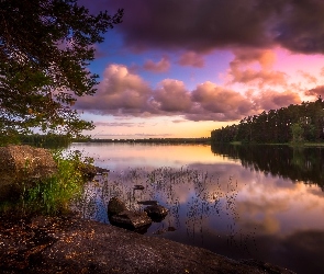 Gmina Ähtäri, Drzewa, Chmury, Jezioro Hankavesi, Finlandia