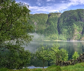 Jezioro, Kamienie, Drzewa, Roślinność, Góry