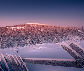 Ogrodzenie, Wzgórza, Laponia, Drzewa, Śnieg, Finlandia, Osada Sallatunturi