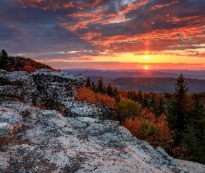 Dolly Sods Wilderness, Wschód słońca, Stan Wirginia Zachodnia, Stany Zjednoczone, Chmury, Las, Wzgórza, Jesień, Skały Bear Rocks