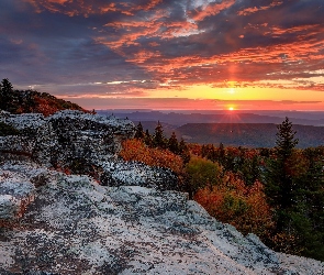 Stany Zjednoczone, Jesień, Wzgórza, Chmury, Las, Wschód słońca, Stan Wirginia Zachodnia, Dolly Sods Wilderness, Skały Bear Rocks