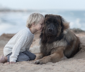 Chłopiec, Dziecko, Piasek, Leonberger, Przyjaciela, Plaża, Pies