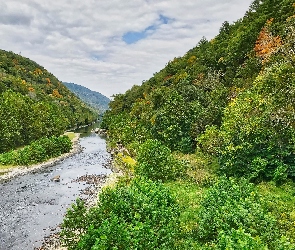 Rzeka, Wzgórza, Lasy