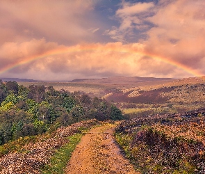 Anglia, Las, Tęcza, Drzewa, Droga, Wzgórza, Hrabstwo Derbyshire, Park Narodowy Peak District, Dolina Longdendale