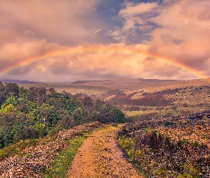 Park Narodowy Peak District, Wzgórza, Hrabstwo Derbyshire, Anglia, Drzewa, Droga, Tęcza, Las, Dolina Longdendale