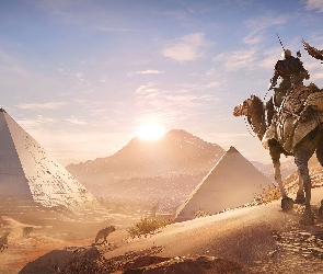 Gra, Piramidy, Bayek, Wielbłąd, Assassins Creed: Origins