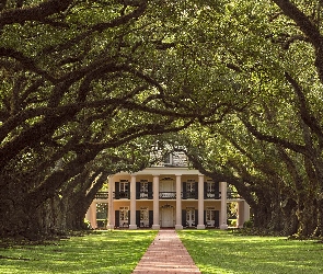 Stany Zjednoczone, Drzewa, Dom, Dęby, Droga, Willa Oak Alley Plantation, Stan Luizjana, Gmina Vacherie, Plantacja Oak Alley Plantation