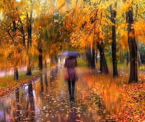 Parasol, Kobieta, Liście, Jesień, Deszcz, Drzewa
