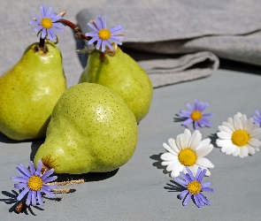 Kwiatki, Obrus, Astry marcinki, Margerytki, Gruszki