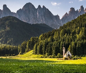 Las, Góry, Dolina Val di Funes, Drzewa, Dolomity, Włochy, Kościół św. Jana