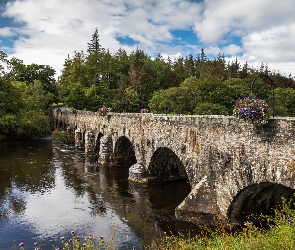 Hrabstwo Kerry, Most kamienny Beaufort Bridge, Irlandia, Rzeka Laune, Las, Wieś Beaufort, Drzewa, Rzeka