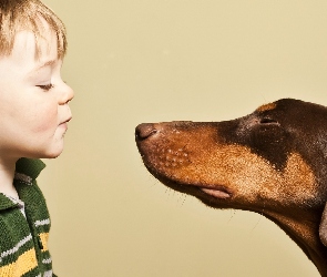 Całus, Doberman, Dziecko, Chłopczyk