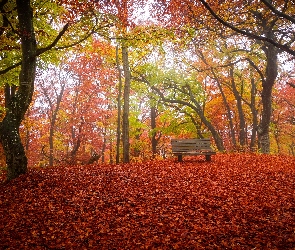 Jesień, Ławka, Park, Drzewa