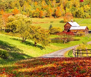 Stan Vermont, Dom, Stany Zjednoczone, Jesień, Drzewa, Nowa Anglia, Staw, Droga