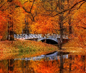 Park, Jesień, Odbicie, Rzeka, Most, Liście, Drzewa