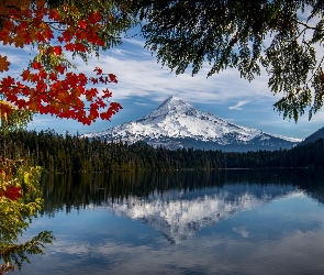 Drzewa, Jezioro Lost Lake, Stan Oregon, Stany Zjednoczone, Góra, Stratowulkan Mount Hood