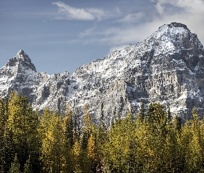 Kanada, Drzewa, Szczyt Castle Mountain, Góry, Park Narodowy Banff