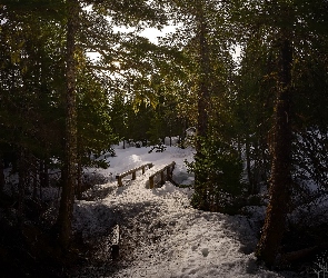 Zima, Śnieg, Mostek, Las
