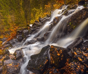 Finlandia, Sawonia Północna, Jesień, Kamienie, Drzewa, Wodospad Korkeakoski