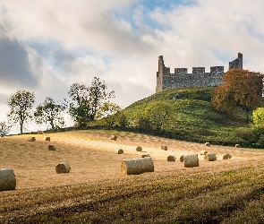 Szkocja, Zamek Hume Castle, Drzewa, Pole, Siano, Ruiny