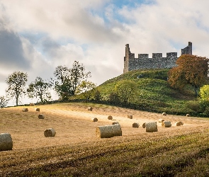 Drzewa, Siano, Zamek Hume Castle, Szkocja, Ruiny, Pole