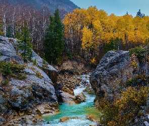 Stany Zjednoczone, Drzewa, Rzeka, Kamienie, Skały, Jesień, Stan Kolorado, Góry Skaliste, Przełęcz Independence Pass