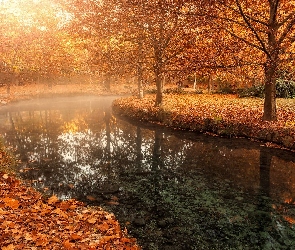 Drzewa, Prowincja Murcja, Mgła, Miasto Caravaca de la Cruz, Hiszpania, Rzeka, Liście, Ławeczki, Jesień, Park Fuentes del Marqués