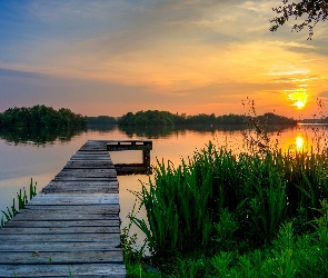 Rośliny, Pomost, Prowincja Groningen, Holandia, Jezioro Hoornsemeer, Zachód Słońca