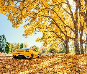 Jesień, Drzewa, Ferrari F 430, Żółty, Samochód, Liście