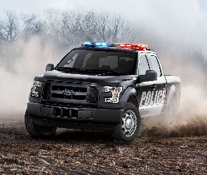 2016, Ford F-150 Special Service Vehicle, Samochód, Policyjny