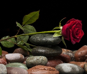 Róża, Tło, Kamienie, Ciemne, Czerwona