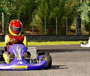 Karting, Gokarty, Tor