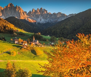 Drzewa, Dolomity, Góry, Dolina Val di Funes, Włochy, Jesień, Kościół, Masyw Odle, Lasy, Wieś Santa Maddalena
