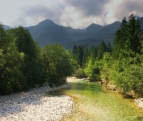 Słowenia, Triglavski Park Narodowy, Góry, Kamienie, Drzewa, Rzeka