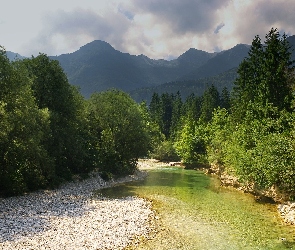 Góry, Drzewa, Triglavski Park Narodowy, Słowenia, Rzeka, Kamienie