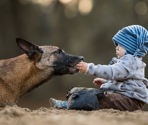 Owczarek belgijski malinois, Dziecko, Pies