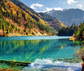 Jezioro Arrow Bamboo, Góry, Park Narodowy Jiuzhaigou, Drzewa, Las,  Chiny, Jesień