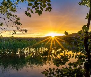 Wschód słońca, Roślinność, Jezioro, Drzewa