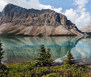 Kanada, Prowincja Alberta, Roślinność, Jezioro Bow Lake, Góra Crowfoot Mountain, Park Narodowy Banff
