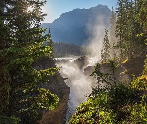 Park Narodowy Jasper, Rzeka, Kanada, Góry, Świerki, Wodospad Athabasca Falls, Słońce, Mgła