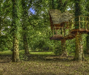 Kelmarsh Hall and Gardens, Hrabstwo Northamptonshire, Anglia, HDR, Drzewa, Park, Domek, Kelmarsh