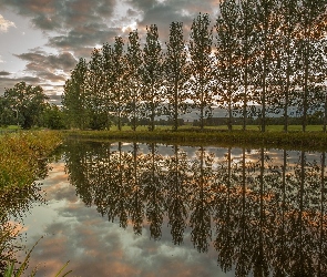 Drzewa, Staw, Hrabstwo Northumberland, Trawa, Posiadłość Belsay Hall, Anglia, Wieś Belsay