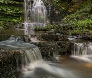 Wodospad Scaleber Force, Hrabstwo North Yorkshire, Anglia, Rośliny, Skały, Omszałe, Kamienie, Park Narodowy Yorkshire Dales