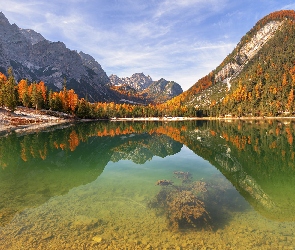 Drzewa, Jesień, Jezioro Pragser Wildsee, Odbicie, Dolomity, Włochy, Góry