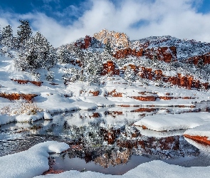 Stan Arizona, Wąwóz Oak Creek Canyon, Stany Zjednoczone, Kanion, Zima, Park Stanowy Slide Rock, Skały, Rzeka Oak Creek