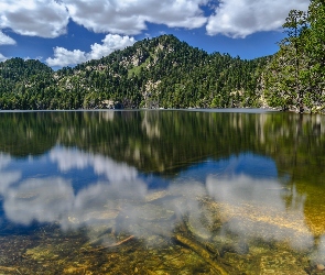 Francja, Góry Pireneje, Odbicie, Jezioro, Świerki, Masyw Massif del Carlit