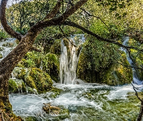 Chorwacja, Drzewa, Wodospad, Park Narodowy Jezior Plitvickich